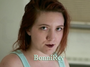 BonniRey Top Blog X