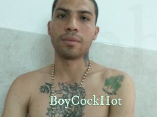 BoyCockHot