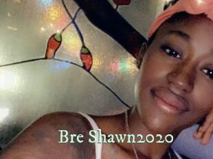Bre_Shawn2020