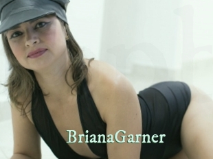 BrianaGarner Top Blog X