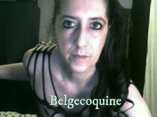 Belgecoquine