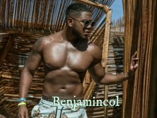benjamincol Top Blog X