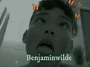benjaminwilde Top Blog X