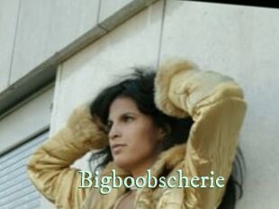 Bigboobscherie