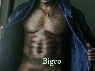 bigco Top Blog X