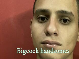Bigcock_handsomes