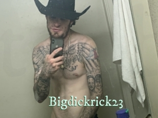 bigdickrick23 Top Blog X