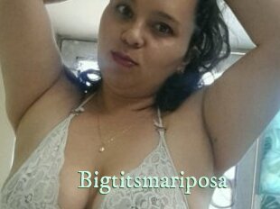 Bigtitsmariposa