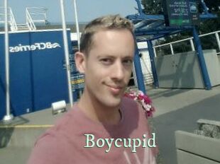 Boycupid