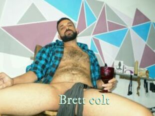 Brett_colt
