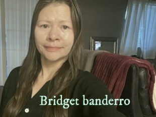 Bridget_banderro