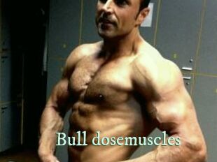 Bull_dosemuscles