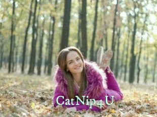 CatNip4U