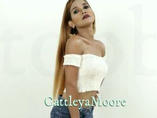 CattleyaMoore Top Blog X