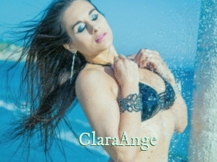 ClaraAnge Top Blog X