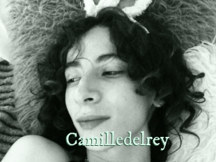 camilledelrey Top Blog X