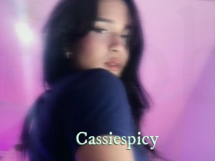 cassiespicy Top Blog X