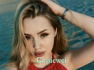 cassiewei Top Blog X