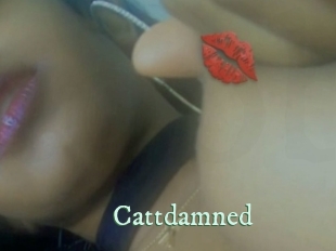 cattdamned Top Blog X