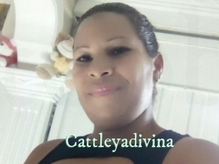 Cattleyadivina