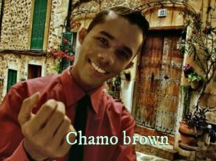 Chamo_brown