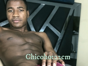 chicohot22cm Top Blog X