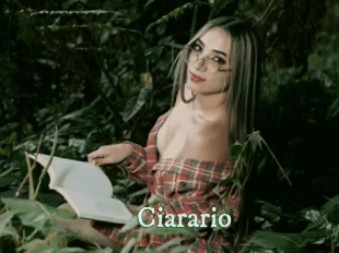ciarario Top Blog X