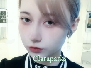 claraparks Top Blog X