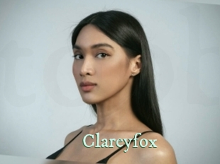 clareyfox Top Blog X