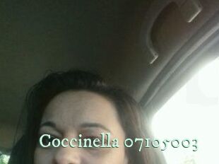 Coccinella-07105003
