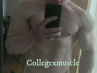 collegexmuscle Top Blog X