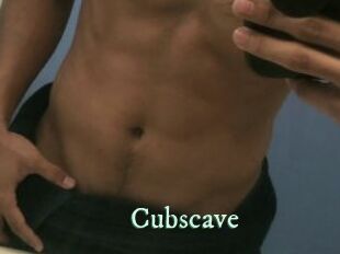 Cubscave