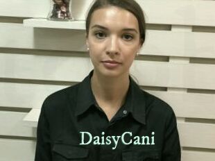 DaisyCani