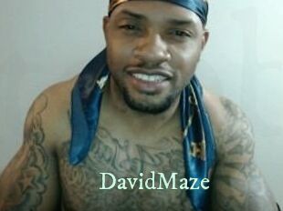 David_Maze