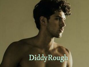DiddyRough