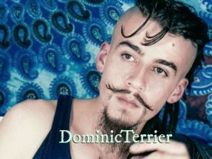 DominicTerrier