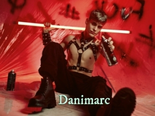danimarc Top Blog X