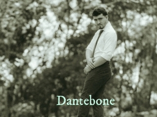 dantebone Top Blog X