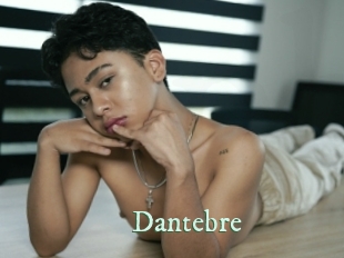 dantebre Top Blog X