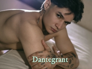 dantegrant Top Blog X