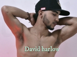 david_harlow Top Blog X
