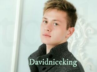 Davidniceking
