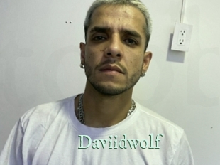 daviidwolf Top Blog X