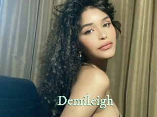 demileigh Top Blog X