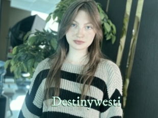 Destinywesti
