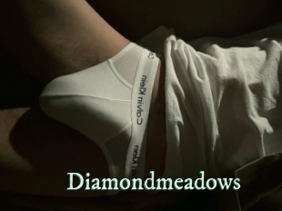 diamondmeadows Top Blog X