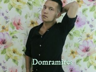 Domramires