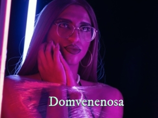 domvenenosa Top Blog X