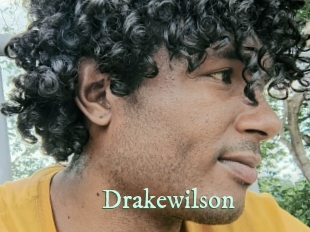 drakewilson Top Blog X