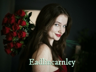 eadlincarnley Top Blog X